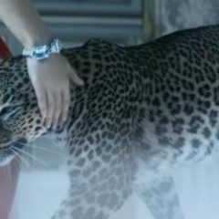 Imagem da notícia: “Odisseia da Cartier” em fresco cinematogr&aacute;fico