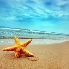 Imagem da notícia: JoiaPro vai de f&eacute;rias!