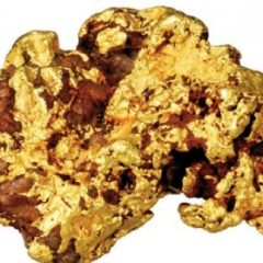 Imagem da notícia: Cultivar ouro?