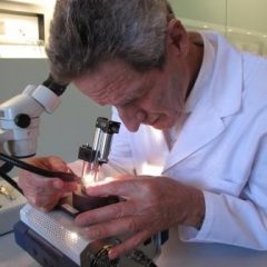Imagem da notícia: “Estamos empenhados em promover a formação na área”