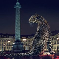 Imagem da notícia: Cartier abre em Lisboa
