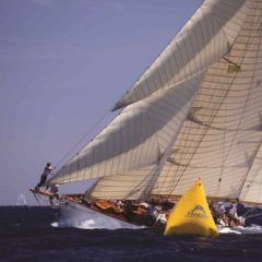 Imagem da notícia: Barcos &agrave; vela por todo o mundo