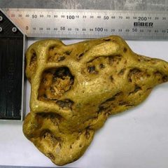 Imagem da notícia: Orelha do diabo descoberta na Sib&eacute;ria
