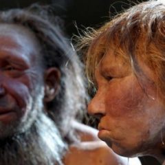 Imagem da notícia: Neandertais j&aacute; faziam joias?