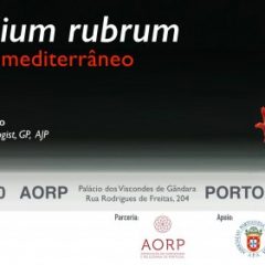 Imagem da notícia: GIA Alumni Portugal faz a sua primeira confer&ecirc;ncia no Porto