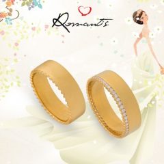 Imagem da notícia: Romantis: novos modelos de alian&ccedil;as