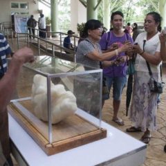Imagem da notícia: Pescador descobre p&eacute;rola gigante