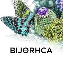 Imagem da notícia: Aproxima-se a Bijorhca Paris