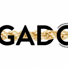 Imagem da notícia: AORP quer todos os profissionais do setor “LIGADOS”