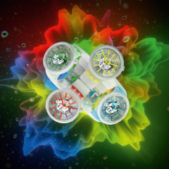 Imagem da notícia: BIG BOLD JELLY: a diversão continua