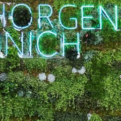 Imagem da notícia: Inhorgenta Munich 2021 cancelada