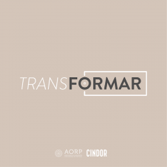 Imagem da notícia: TransFORMAR: plano de formação modular gratuito