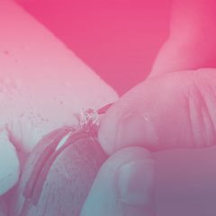 Imagem da notícia: Cindor promove formação de “percurso de cravação”