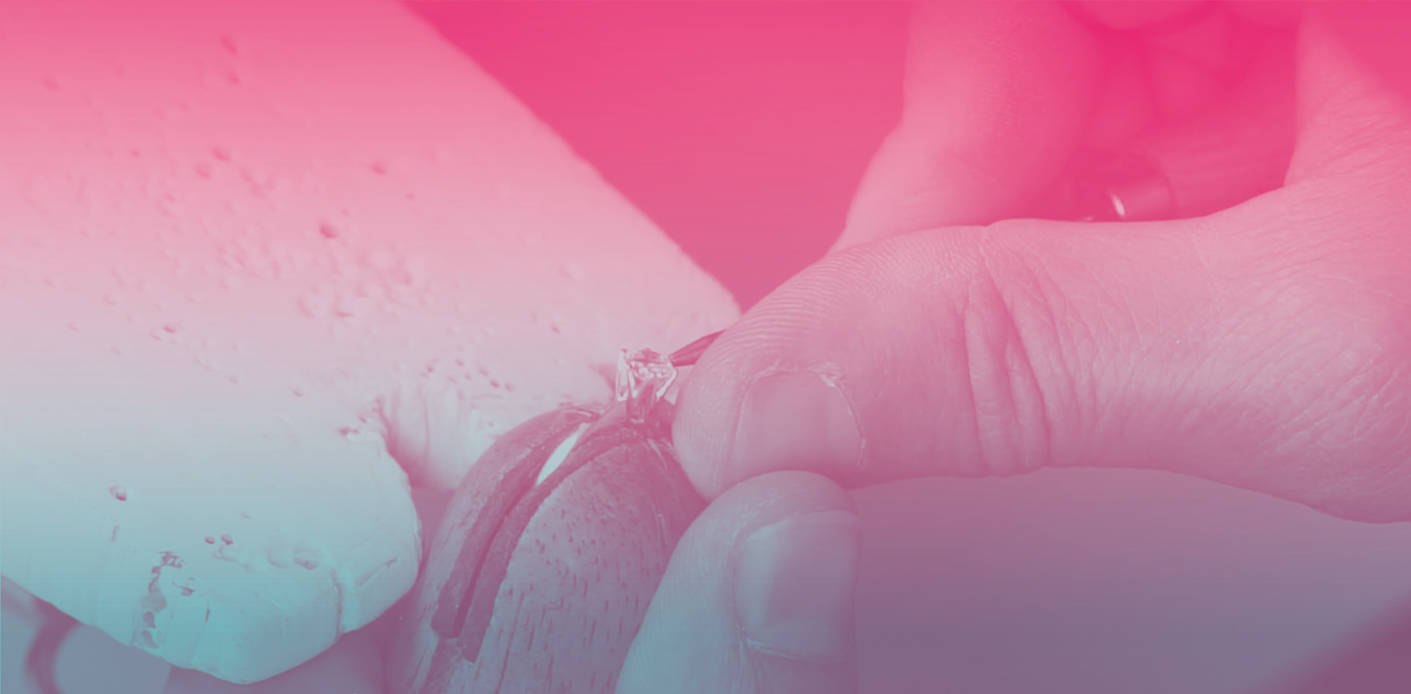 Imagem da notícia: Cindor promove formação de “percurso de cravação”