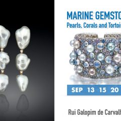 Imagem da notícia: Rui Galopim de Carvalho with an online workshop