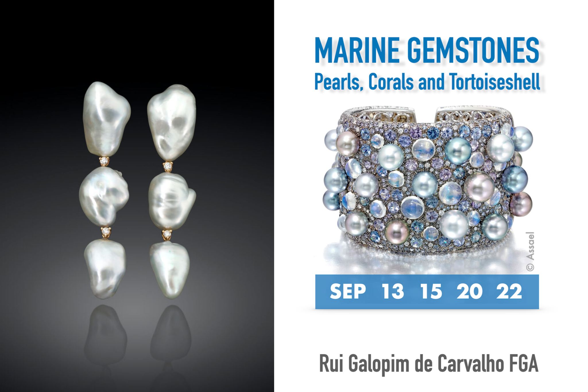 Imagem da notícia: Rui Galopim de Carvalho com workshop online