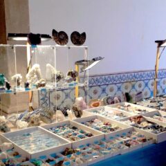 Imagem da notícia: Coimbra acolhe XXVIII Feira Internacional de Minerais, Gemas e Fósseis 