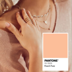 Imagem da notícia: Pantone 2024 “Peach Fuzz” by Stephen Silver
